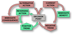 Vicious Cycle Reverser Image: 